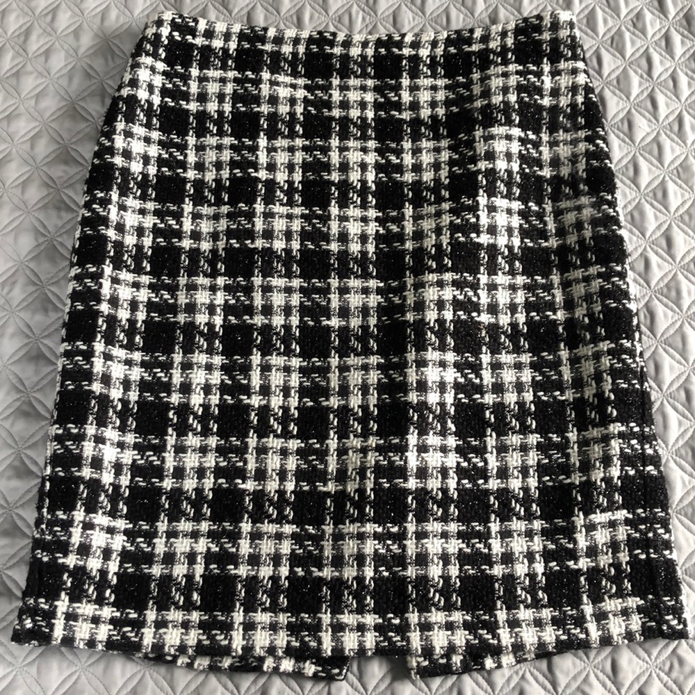Ann Taylor Skirt